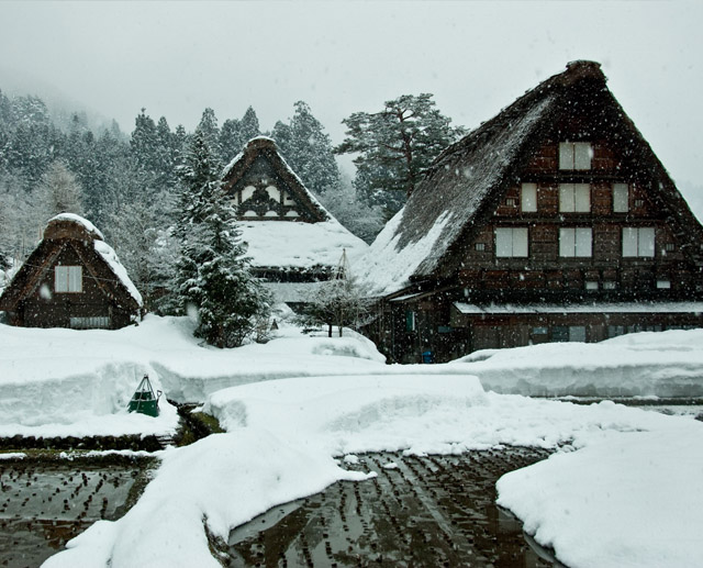 Lily倶楽部 2026年1月