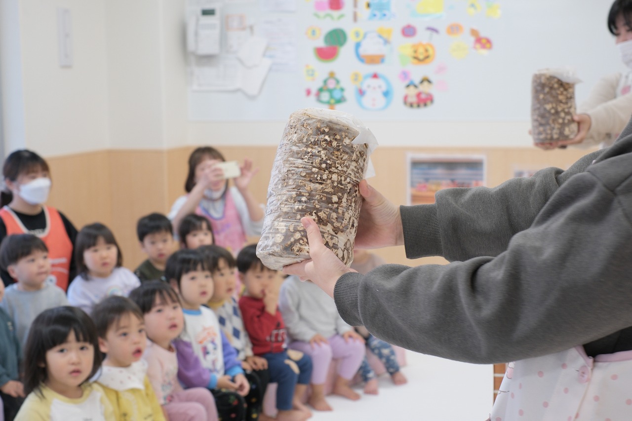 つくし組【１歳児】キノコの食育